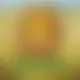 Zagraj Mega Moolah z Games Global w {"id":36,"name":"Mr Bet","design":{"logo":"mr-bet-logo.vDiDmf.svg","favicon":"mr-bet-favicon.juhoRZ.png","banner_poker":"mr-bet-poker.B634zr.webp","banner_mobile":"mr-bet-mobile.ek934X.webp","block_bg_color":"#2C0725","image_bg_color":"#27272a","banner_bg_color":"#2C0725","block_text_color":"#ffffff","primary_bg_color":"#20253B","banner_text_color":"#fff","footer_logos_type":"white","block_round_radius":"0.5rem","primary_text_color":"#f4f4f5","button_round_radius":"0.5rem","banner_welcome_bonus":"mr-bet-welcome-bonus.W3Km2B.webp","primary_button_bg_color":"#0EAD2C","primary_button_text_color":"#fff","secondary_button_bg_color":"#F96A32","secondary_button_text_color":"#fff"},"created_at":"2025-05-14T09:25:22.000000Z","updated_at":"2025-05-14T09:25:22.000000Z","deleted_at":null}