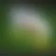 Zagraj Let It Ride z Playtech w {"id":36,"name":"Mr Bet","design":{"logo":"mr-bet-logo.vDiDmf.svg","favicon":"mr-bet-favicon.juhoRZ.png","banner_poker":"mr-bet-poker.B634zr.webp","banner_mobile":"mr-bet-mobile.ek934X.webp","block_bg_color":"#2C0725","image_bg_color":"#27272a","banner_bg_color":"#2C0725","block_text_color":"#ffffff","primary_bg_color":"#20253B","banner_text_color":"#fff","footer_logos_type":"white","block_round_radius":"0.5rem","primary_text_color":"#f4f4f5","button_round_radius":"0.5rem","banner_welcome_bonus":"mr-bet-welcome-bonus.W3Km2B.webp","primary_button_bg_color":"#0EAD2C","primary_button_text_color":"#fff","secondary_button_bg_color":"#F96A32","secondary_button_text_color":"#fff"},"created_at":"2025-05-14T09:25:22.000000Z","updated_at":"2025-05-14T09:25:22.000000Z","deleted_at":null}